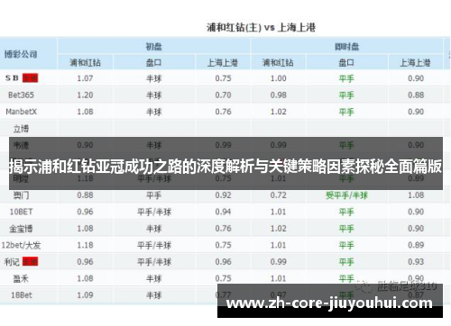 揭示浦和红钻亚冠成功之路的深度解析与关键策略因素探秘全面篇版