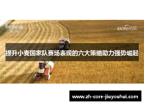 提升小麦国家队赛场表现的六大策略助力强势崛起