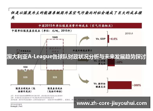 澳大利亚A-League各球队财政状况分析与未来发展趋势探讨